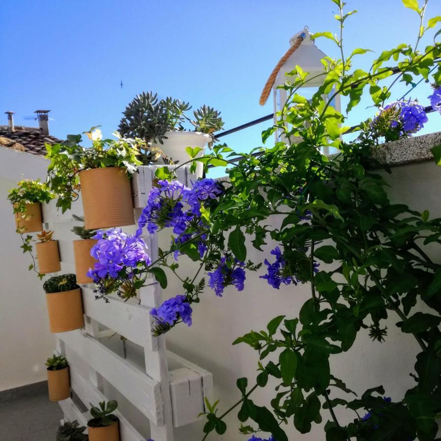 B&B Porta Girone Civitanova Alta Exterior photo